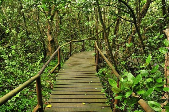 Parque Nacional Fray Jorge y Monumento Nacional Valle del Encanto