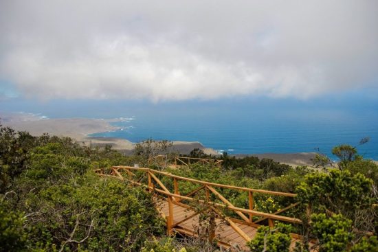 Parque Nacional Fray Jorge y Monumento Nacional Valle del Encanto - Imagen 7