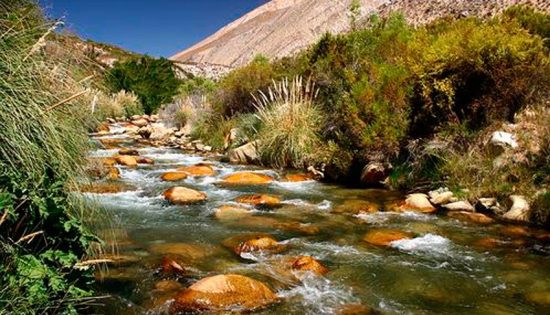 Valle del Elqui día y noche - Imagen 6