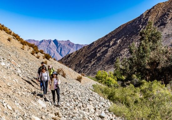 Trekking en el Valle del Elqui